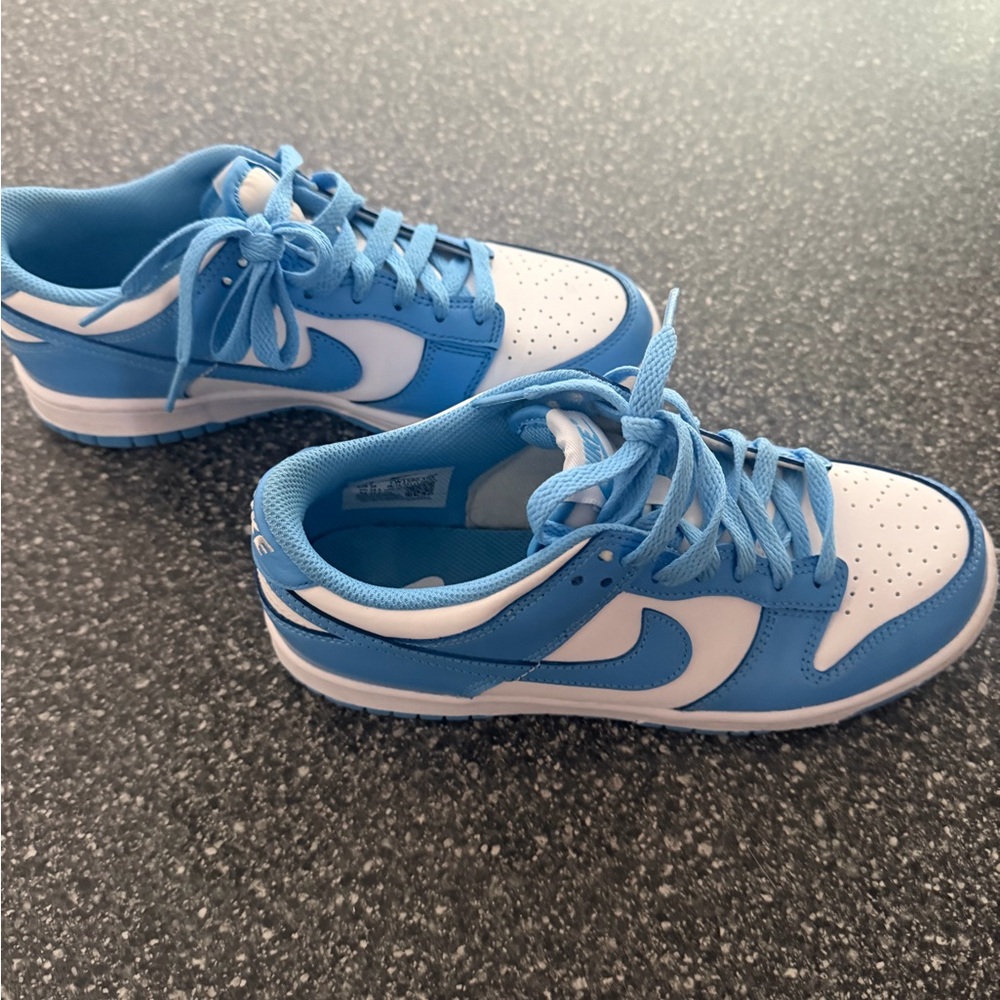 Nike Kids Dunk Blue and White Sneakers